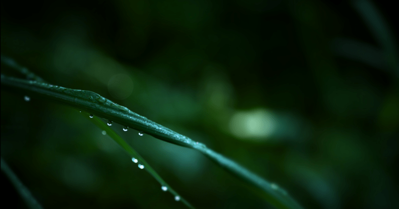 New Features of C# 6.0