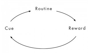 Habit Framework.PNG